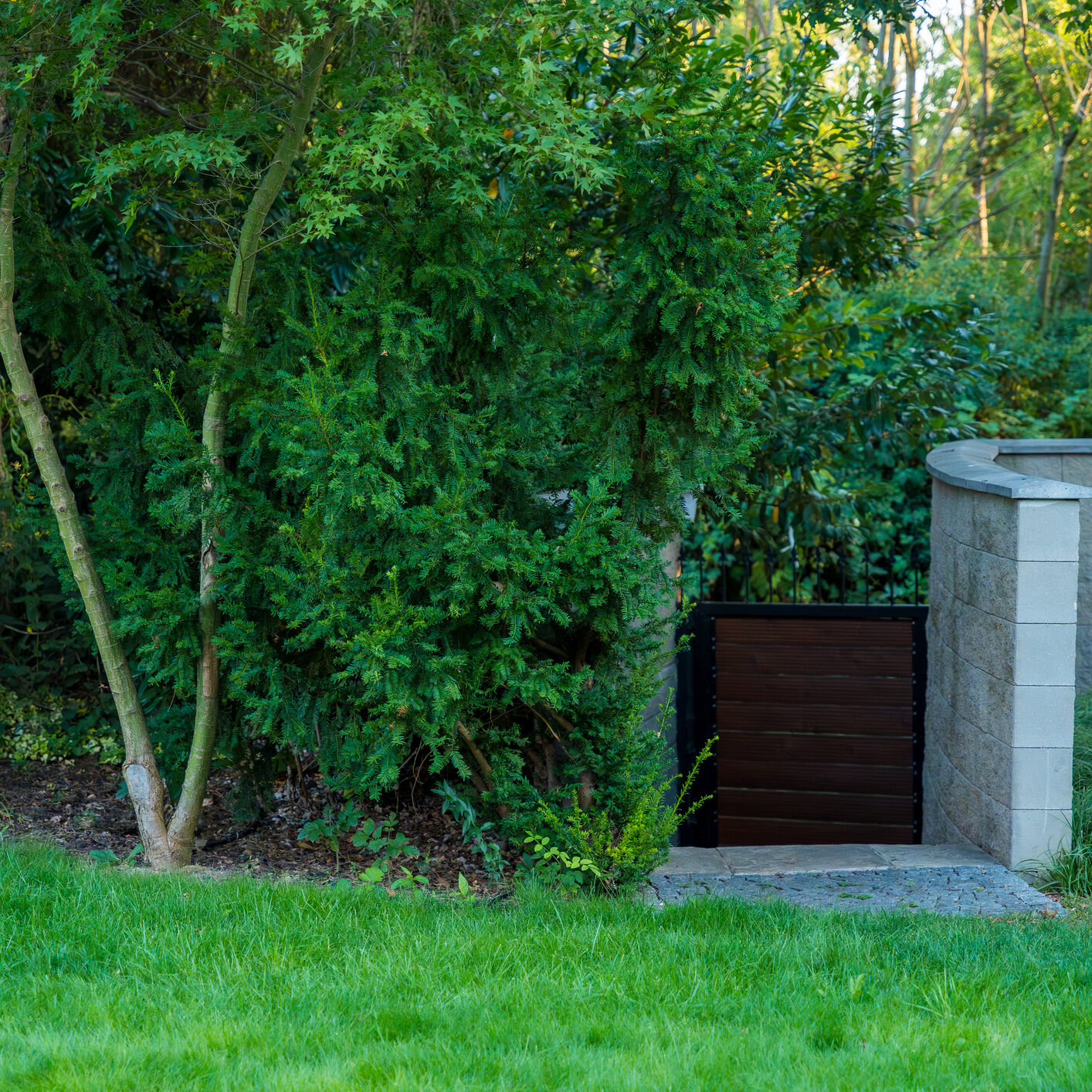 A serene garden scene featuring a wooden gate set within a stone wall, surrounded by vibrant green trees and grass. The image captures a peaceful and natural atmosphere with warm sunlight.